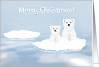 Merry Christmas Two Polar Bears on Ice Floe card