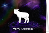 Merry Christmas White Lamb card