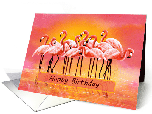 Happy Birthday Red Flamingos and Sunset card (1655354)