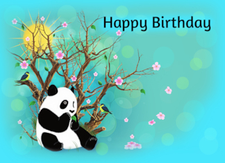 Happy Birthday Panda...