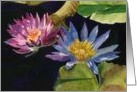 Water Lily Pond Note Card