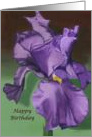 Purple Iris Happy Birthday Card