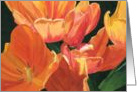 Orange Tulips Birthday Card