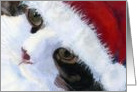 Santa Kitty Cat Christmas Card