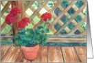 Red Geranium Flower Pot Note Card