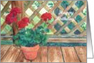 Red Geranium Flower Pot Birthday Card