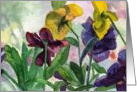 Purple Pansy Note Card