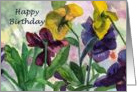 Purple Pansy Birthday Card