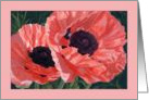 Pretty Peach Poppy Flower Birthday card