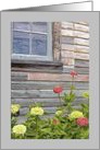 Weathered Barn with Zinnias Flowers Birthday card