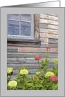 Weathered Barn with Zinnias Flowers All Occasion Blank Note Card
