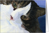 Pretty Calico Cat Note Card