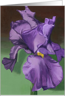 Purple Iris Note Card