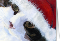 Santa Kitty Cat Christmas Card
