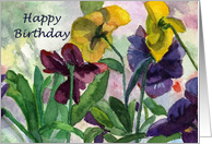 Purple Pansy Birthday Card