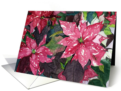 Red Poinsettia Holiday card (1235606)
