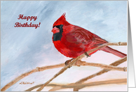 Winter Red Cardinal General Birthday card
