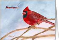 Winter Red Cardinal Thank You card