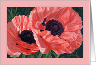Pretty Peach Poppy Flower Birthday card