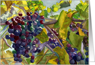 Vineyard grapevines close-up watercolor painting blank note card