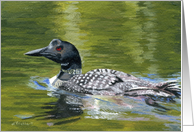 Beautiful Swimming Loon on the lake All Occasion note card