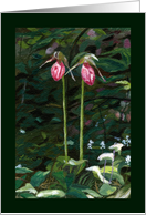 Pink Lady Slipper Flowers in the Woods Happy Anniversary card