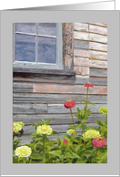 Weathered Barn with Zinnias Flowers Birthday card