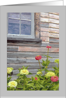 Weathered Barn with Zinnias Flowers Get Well Soon card