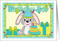 Birthday Bunny Boy...