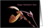 Valentine’s Day -- Purple Orchid on Black card