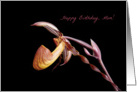 Happy Birthday, Mom-- Purple and Pink Orchid on Black. card