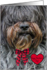 Happy Valentine’s Day -- Sheepdog with Red Bow and Heart card