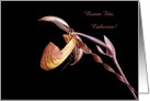 Name Day, Catherine -- Paphiopedilum Gardineri orchid, Customizable card