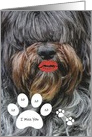 Missing You -- Humorous Sheepdog Kiss with Paw Print card