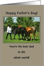 Father’s Day for Dad - Customizable - Three Horses - Trainer - Three Colours card