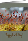 Happy Earth Day - Miniature World - Macro Moss in Forest card