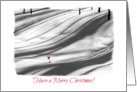 Merry Christmas-Snowy Forest-Shadows-Black & White-Red Bow-Photo card