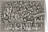 Casual Get-Togethers with Friends -- Wild Cats Textured card