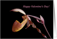 Valentine’s Day -- Purple Orchid on Black card