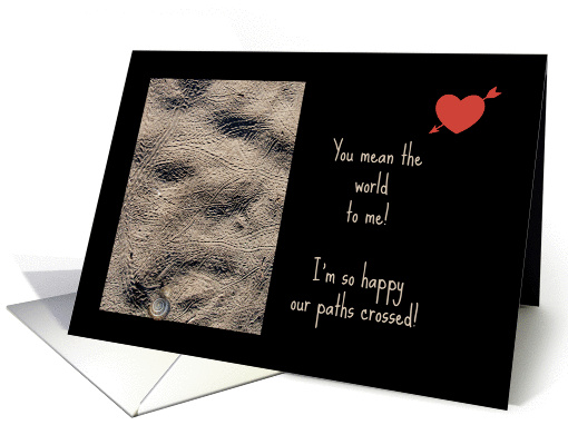 Happy We Met -- Criss-Crossing Tracks in Sand on Black... (1222946)