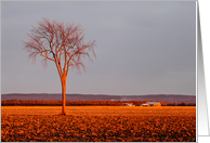 Announcing Our News -- Golden Sunset Countryside Scene card