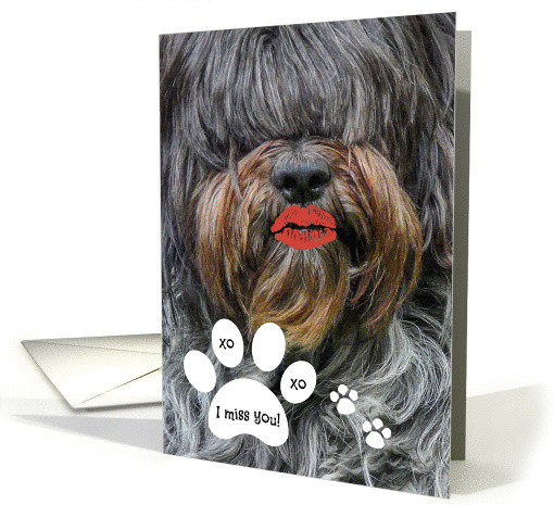 Missing You -- Humorous Sheepdog Kiss with Paw Print card (1225130)