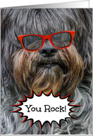 Congratulaions -- Sheepdog in Red Sunglasses card