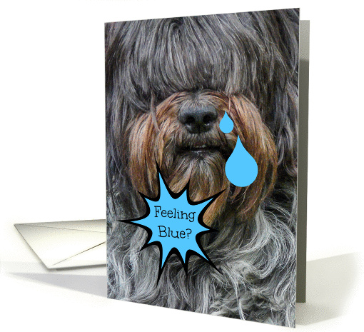 Encouragement -- Sheepdog Crying Blue Tears card (1257138)