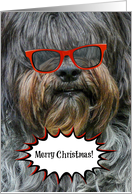 Merry Christmas -- Sheep Dog -- Humour -- Red Sunglasses card