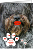 Valentine’s Day - Shaggy Sheep Dog - Red Lips - Whimsical card