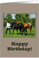Happy Birthday - Horse Lover - Three Horses & Trainer card