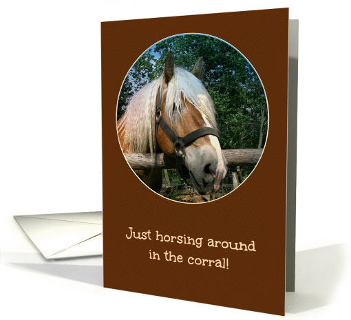 Horsing Around - From Horse's Mouth - Happy Birthday card (1393934)