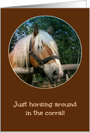Horsing Around - From Horse’s Mouth - Happy Birthday card
