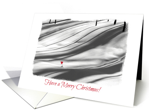 Merry Christmas-Snowy Forest-Shadows-Black & White-Red Bow-Photo card